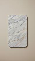 Marble Serving Board with Veined Finish