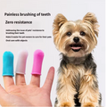 Ultra soft silicone pet finger toothbrush for dogs and cats in blue, white and pink colours