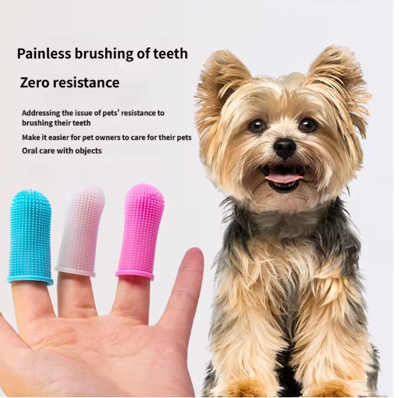Ultra soft silicone pet finger toothbrush for dogs and cats in blue, white and pink colours