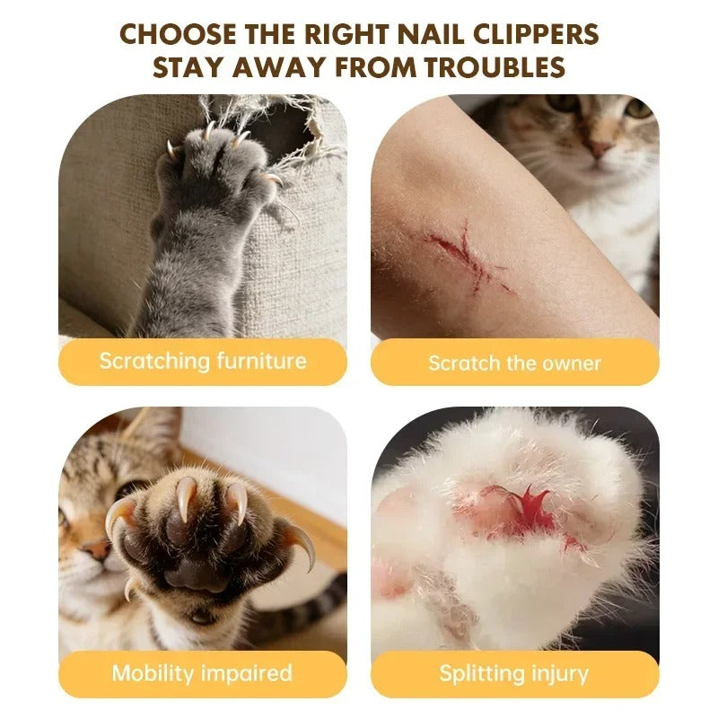 2-in-1 LED Light Pet Nail Clipper & Grinder – Dog & Cat Nail Trimmer with Nail File, Safe Professional Grooming Tool